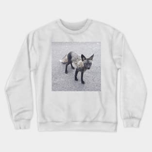 Silver Fox Crewneck Sweatshirt